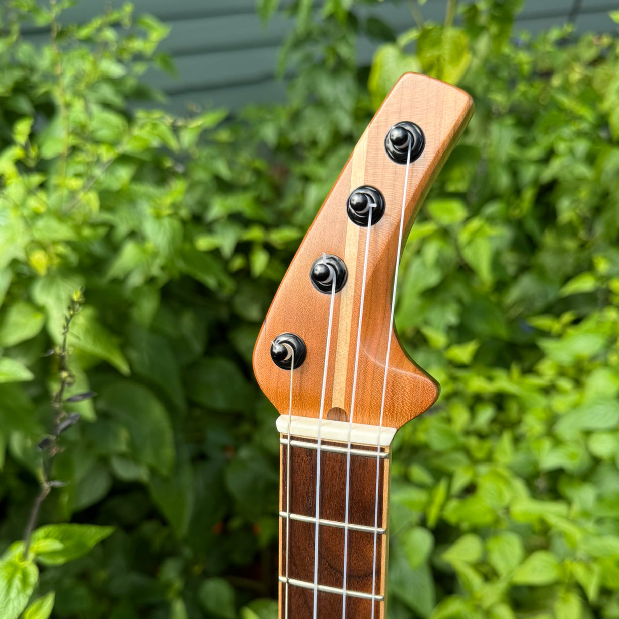 FoxyUke 1.1 Tenor