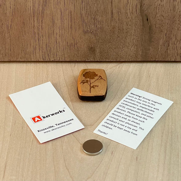 Magnetic Needle Minder
